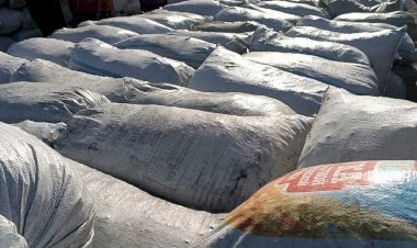 Акысыз көмүр