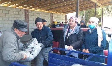 Акысыз көмүр