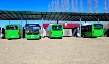 Маселе чечилди