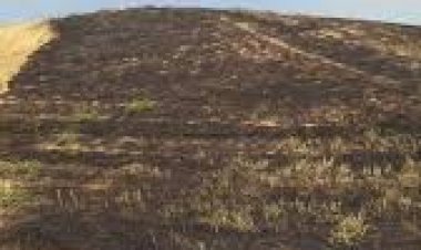 Эгин талааларын өрттөн сактайлы.