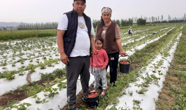 ТАҢДАЙДАН ДААМЫ КЕТПЕГЕН   КУЛПУНАЙ