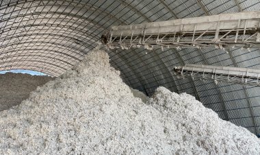 Базар-Коргондо 1 кг ак алтын 65 сомдон бааланууда