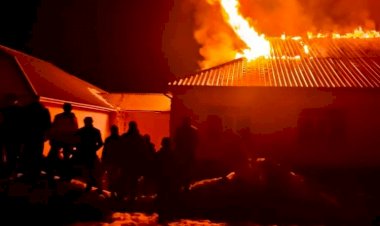 Тогуз-Тородо өрттөнгөн мектептин окуучулары убактынчалуу  аралыктан билим алышат