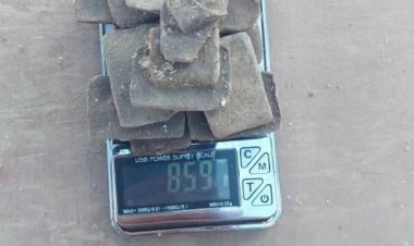 Жалал-Абадда баңгизатын сатып жүргөн кылмыштуу топ кармалды