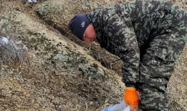 Токтогулда эко активисттер Чычкан капчыгайындагы жапайы канаттууларга жем чачышты