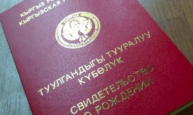 Жалал-Абад облусунда 9  баланын туулгандыгы тууралуу күбөлүгү жок