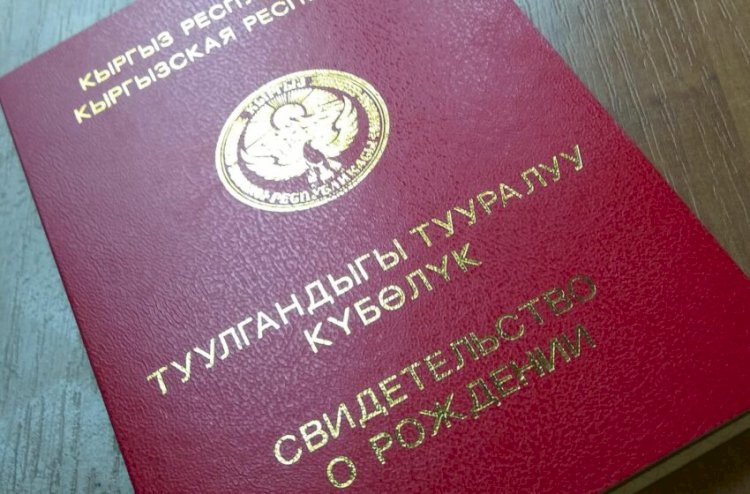Жалал-Абад облусунда 9 баланын туулгандыгы тууралуу күбөлүгү жок