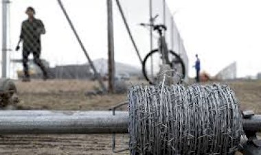 Жалал-Абадда чек араны мыйзамсыз бузуп өткөн жаран кармалды