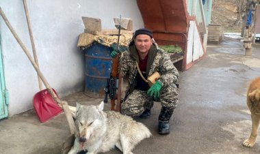 Сары-Челек айылынын тургуну карышкырды тирүү кармады