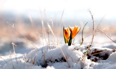 Кыргыз Республикасынын Өзгөчө кырдаалдар министрлигине караштуу Гидрометеорологиялык кызматы: