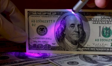 Жалал-Абадда жасалма АКШ долларлары аныкталды