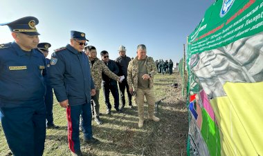 Сузак районунда 100 гектар жерге 40 000 даана 7 түрдүү көчөт отургузулуп жатат