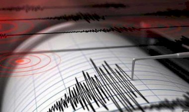 Жалал-Абад облусунун аймагында күчү 4 баллга жеткен жер титирөө катталды