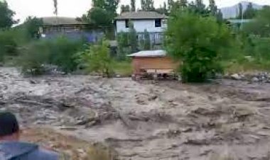 Ала-Букада орун алган сел  унааны агызып кетти