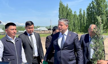 Сузакта ден-соолугунан майыптыгы бар жарандар үчүн реаблитатциялык борбор курулуп жатат