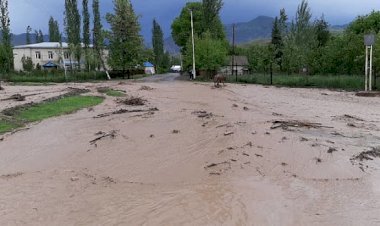 Базар-Коргондо сел жүрүп, бир канча турак үйдүн короо жайын суу каптап, Арстапбап-Базар-Коргон унаа жолунун айрым тилкелерин бөгөп калган