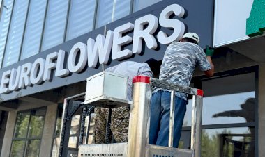 Жалал-Абад: мамлекеттик тил эрежелерин сактабаган көрнөк-жарнактар алынды