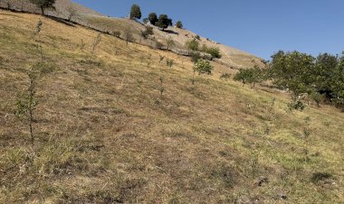 Дүйнөлүк банк облус аймагындагы 21 участокту реконструкциялоо үчүн жеринен карап чыгып жатат