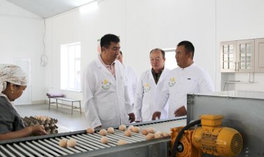 Облус жетекчиси Базар-Коргондогу   “Алтын-Куш Агро” тоок фабрикасынын ишмердүүлүгү менен таанышты