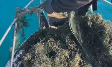 Жалал-Абад: Облус жетекчиси браконьерликке каршы чараларды күчөтүү тапшырмасын берди