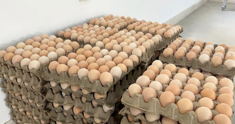 Тогуз-Тородо айыл чарба жарманкеси болду