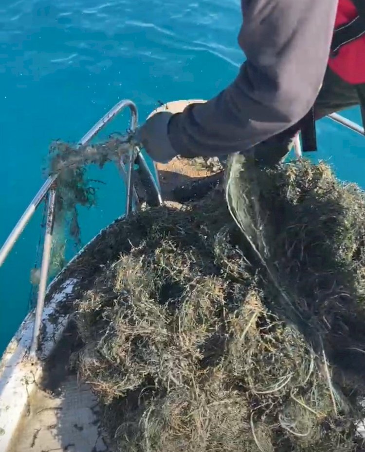 Жалал-Абад: Облус жетекчиси браконьерликке каршы чараларды күчөтүү тапшырмасын берди