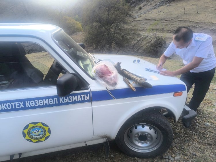 Жалал-Абадда кашкулакка мыйзамсыз аңчылык жасаган жаранга 16 миң сом айып пул салынды