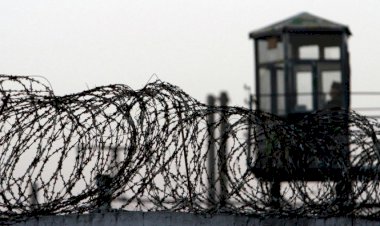 Жалал-Абадда темир тор артындагы 16 жаран жаңы кесипке ээ болду