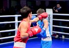 Манас шаарында алгачкы жолу бокс боюнча Кыргызстандын чемпионаты өтүп жатат