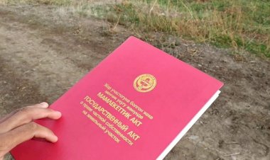 Ээлик кылуучу документ жоголду