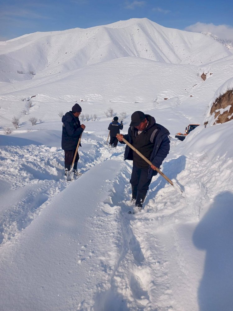 Токтогулда калың жааган кардан улам кыштоого жетпей калган малчылар куткарылды