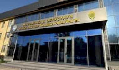 Манас шаарында уурулукка шектелген эки жаран кармалды