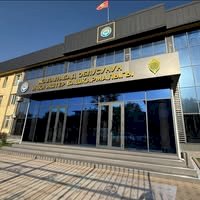 Манас шаарында уурулукка шектелген эки жаран кармалды