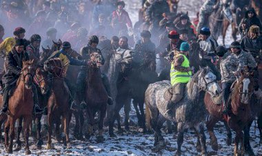 Өзгөндөгү аламан улакта сузактык 27 жаштагы жигит  каза болду