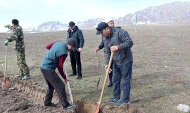 “Бир кишиден 3 көчөт” Ала-Букада жашыл мурас өнөктүгү башталды