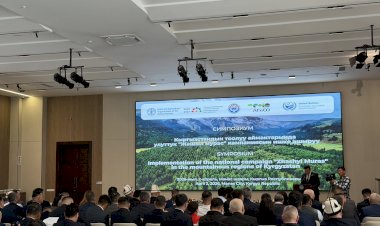 Быйыл өлкөдө  жалпы 9 млн даана дарак көчөтү отургузулат