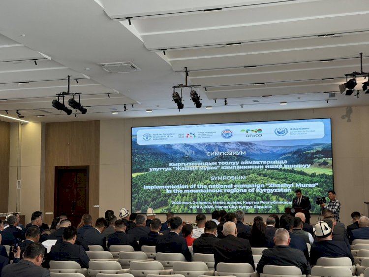 Быйыл өлкөдө  жалпы 9 млн даана дарак көчөтү отургузулат